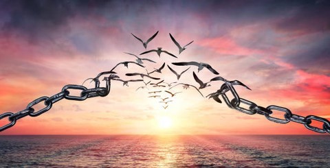 sophrologie les herbiers Les prises de conscience, les ressentis et la phénoménologie